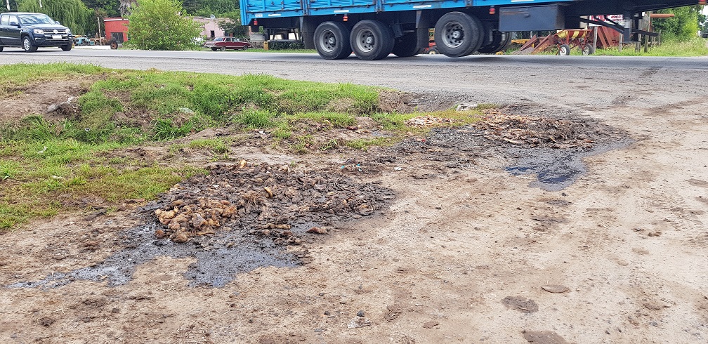 Menudencias podridas al aire libre