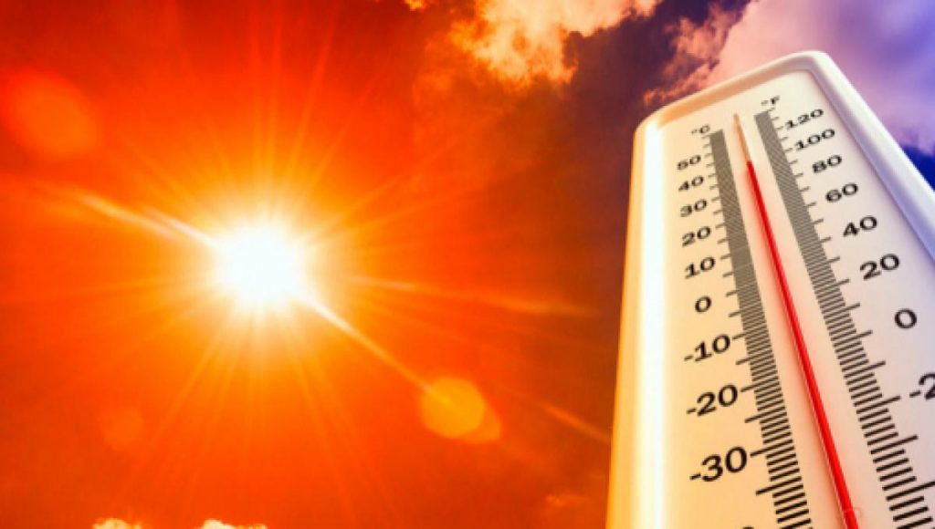 la ola de calor shop search shop searchorg 2062457