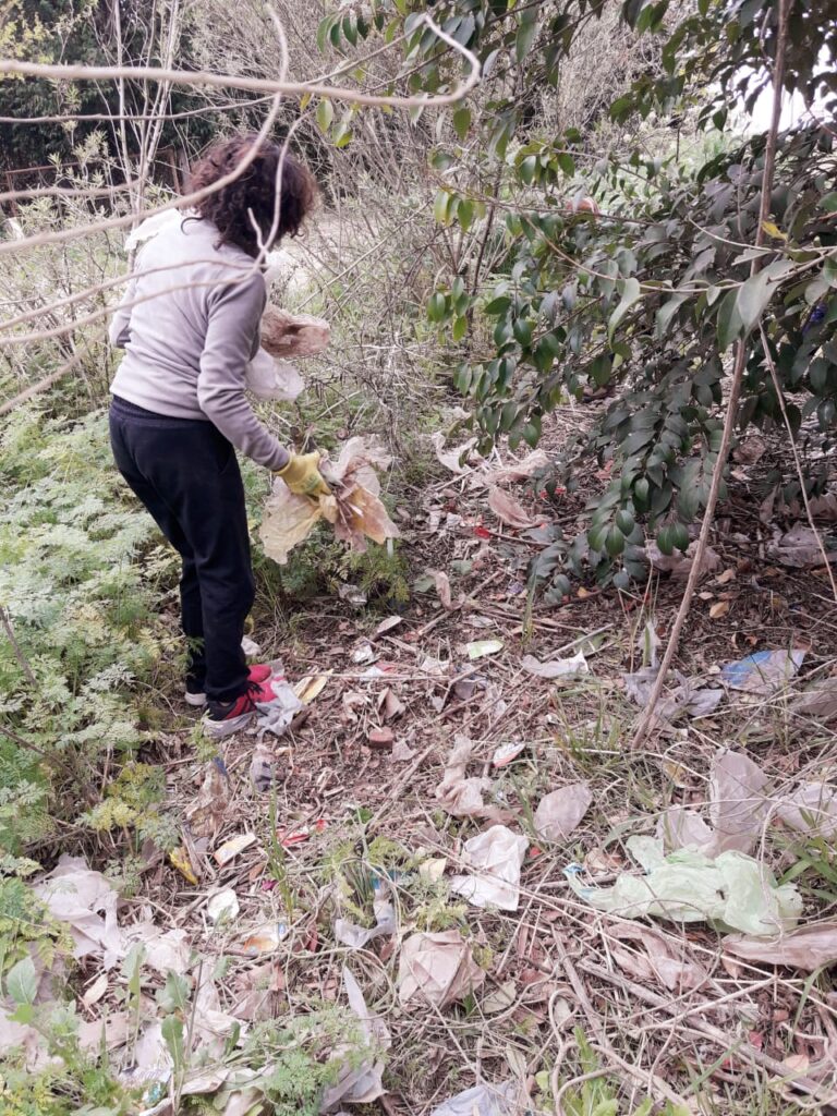 La biopandilla de la 17: un ejemplo de compromiso medioambiental 3 La biopandilla de la 17: un ejemplo de compromiso medioambiental 2