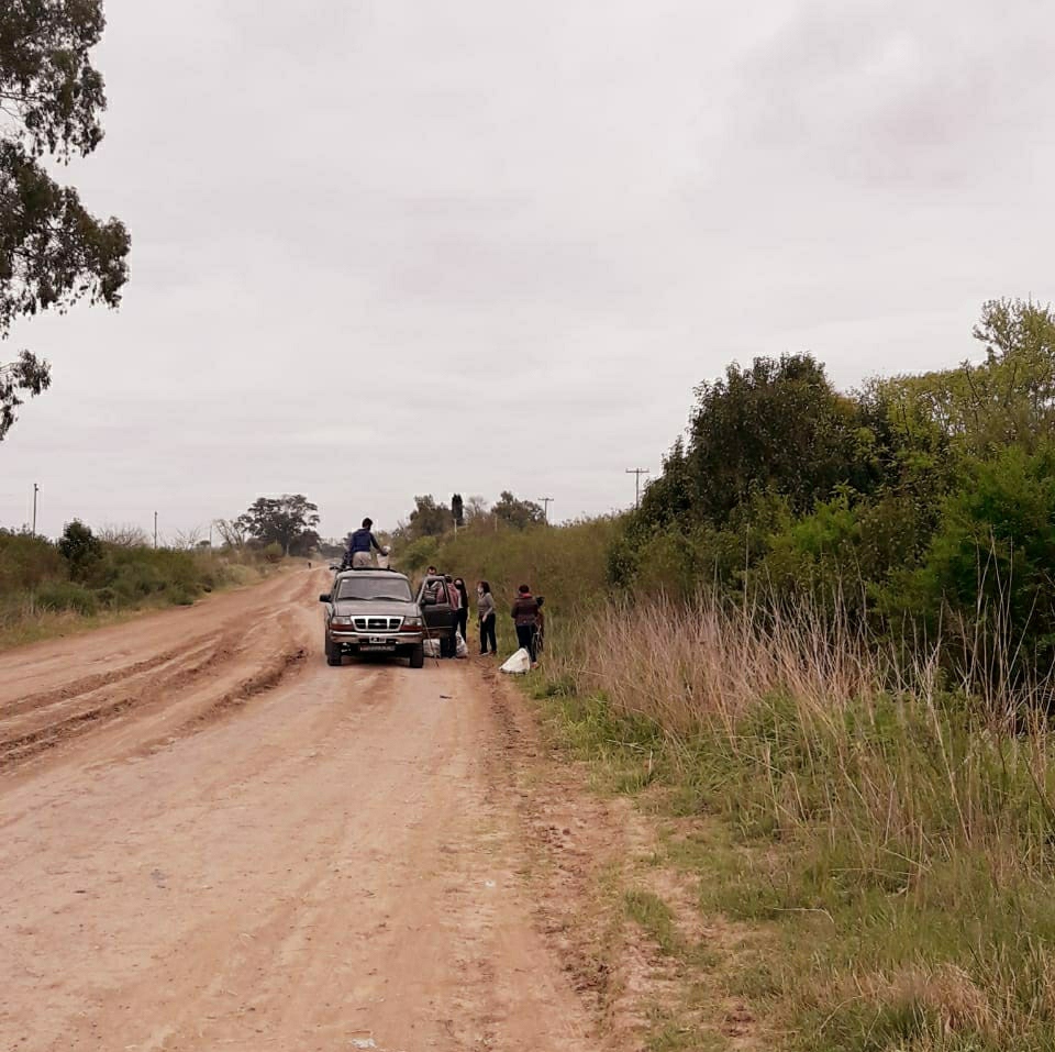 La biopandilla de la 17: un ejemplo de compromiso medioambiental 1 La biopandilla de la 17: un ejemplo de compromiso medioambiental