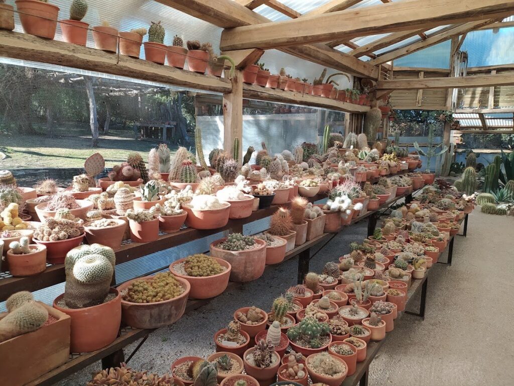 El descendiente de una figura histórica que vivió en Giles y fundó una bodega 4 El descendiente de una figura histórica que vivió en giles y fundó una bodega 3