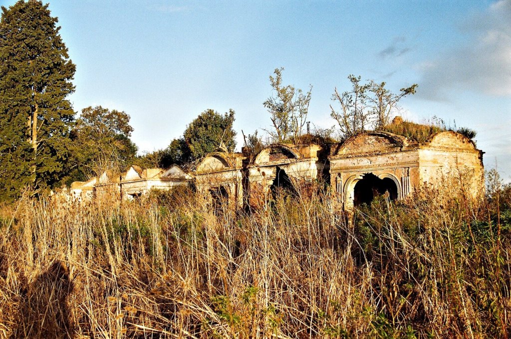 Cementerio Sud: los antropólogos siguen trabajando 3 Cementerio sud: los antropólogos siguen trabajando 2