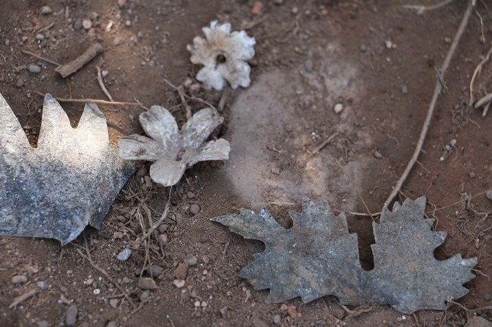 Científicos franceses analizarán restos hallados en el cementerio sud 1