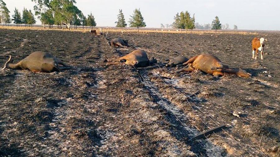 Giles se suma a la campaña por corrientes