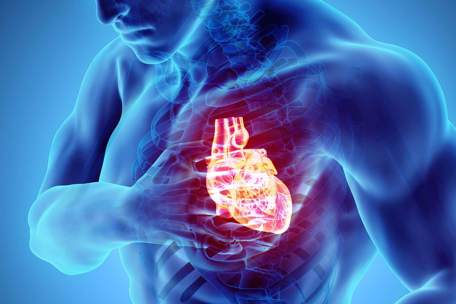 Semana Mundial Del Corazón Los Factores De Riesgo De Las Enfermedades Cardiovasculares Infociudad 0423