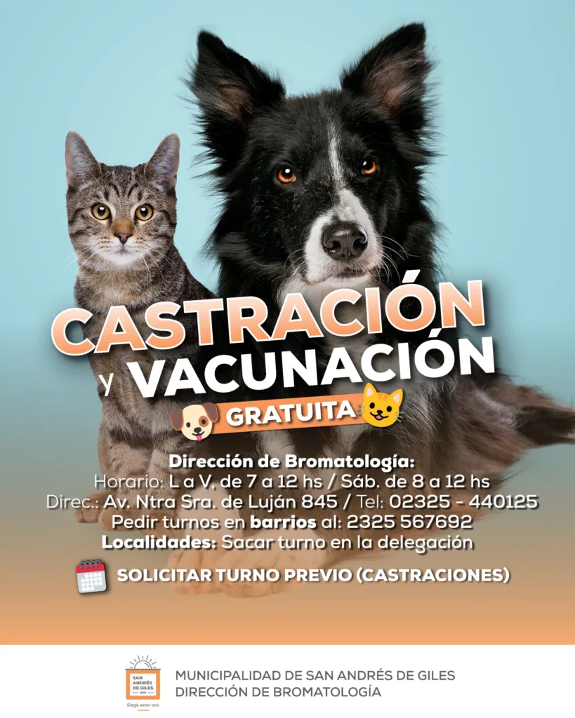 Cuidado responsable: castración y vacunación gratis para mascotas