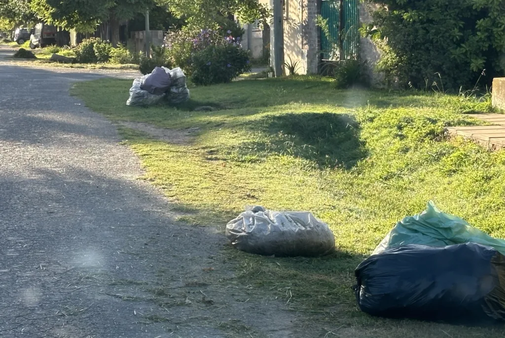 Basura, ramas y más desorden, un paisaje que no cambia 2 Basura, ramas y más desorden, un paisaje que no cambia 1
