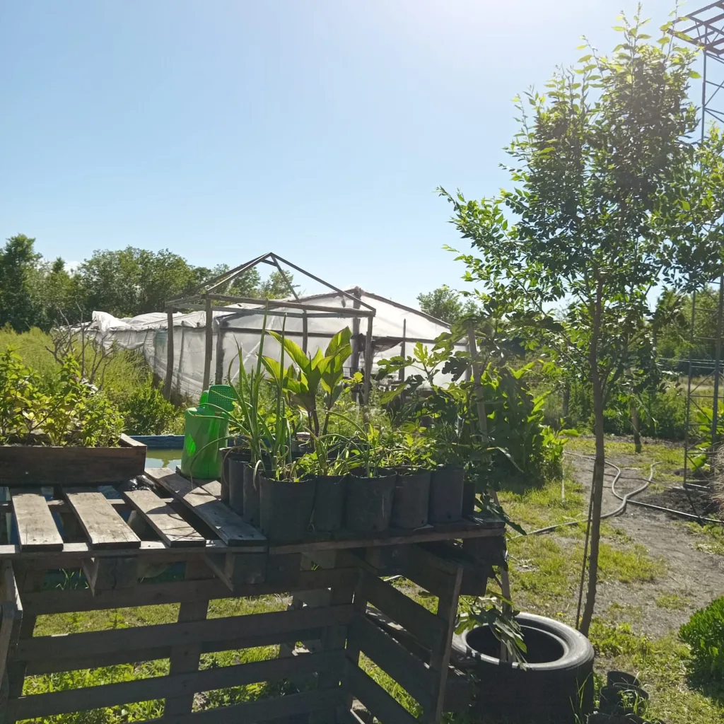 Giles ya tiene su primer huerta agroecológica certificada 1