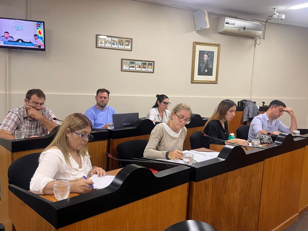 concejo deliberante 5