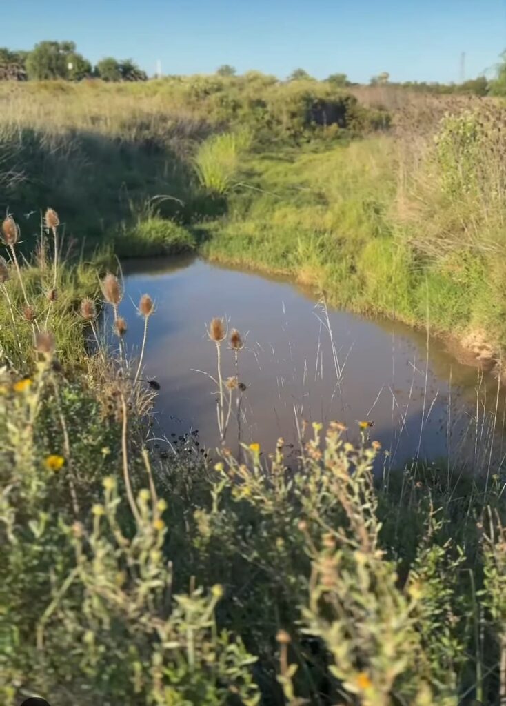 La Reserva Urbana Natural busca nombre propio 3 La reserva urbana natural busca nombre propio 2