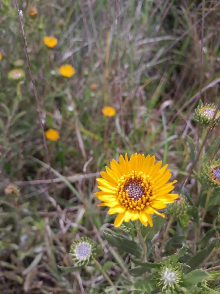 La Reserva Urbana Natural busca nombre propio 1 La reserva urbana natural busca nombre propio