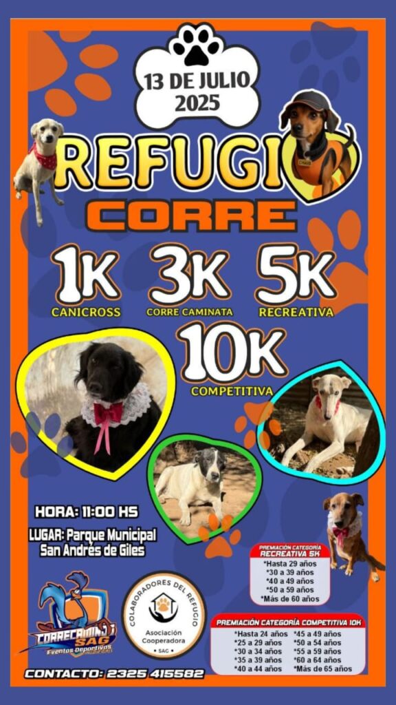 Una carrera solidaria para ayudar a los perritos del refugio municipal