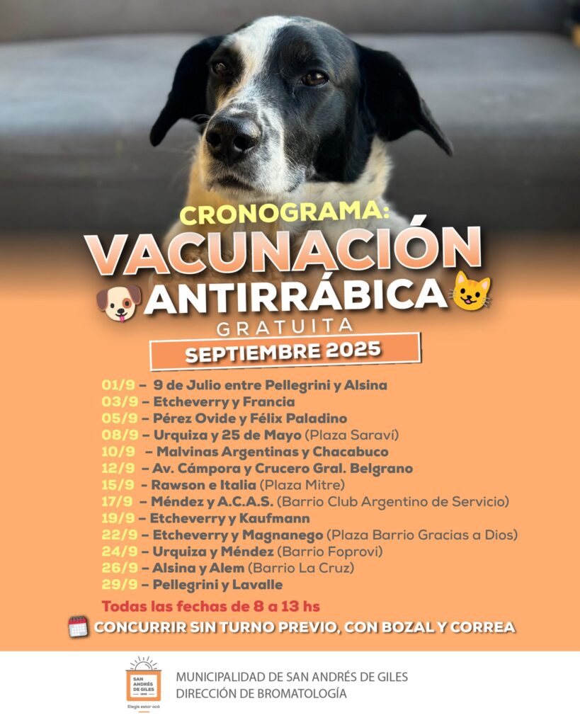 Arranca la campaña gratuita de vacunación antirrábica 2025