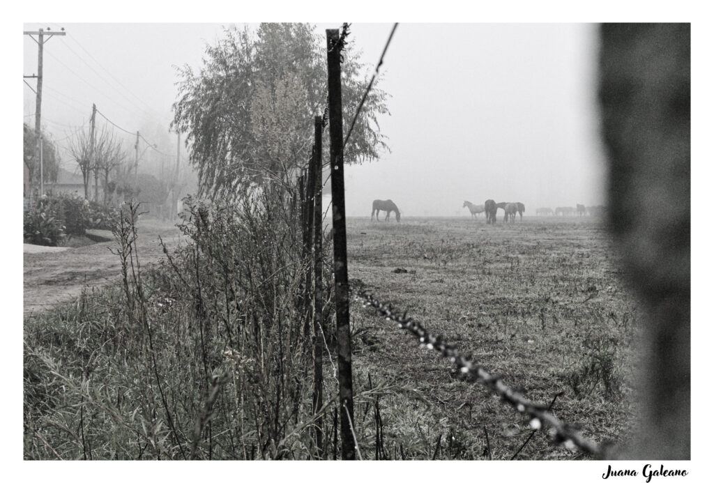Mirada rurales: el nuevo proyecto de ojos de campo 1