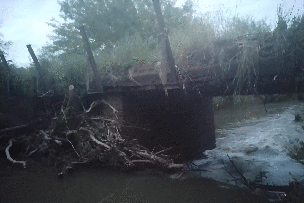 Diseno sin titulo 43 1