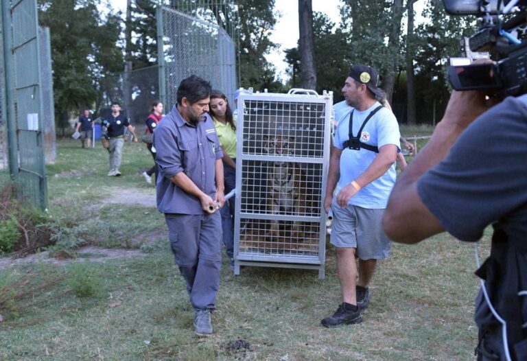 Infociudad, siempre con vos. 32