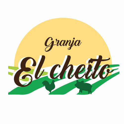 El Jiu Jitsu de San Andrés de Giles pisó fuerte en Capilla del Señor 1 El jiu jitsu de san andrés de giles pisó fuerte en capilla del señor