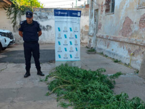 Infociudad, siempre con vos. 43