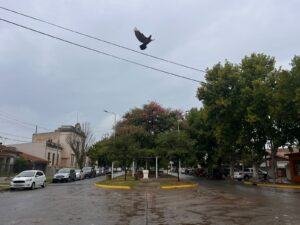 Infociudad, siempre con vos. 41