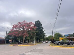 Infociudad, siempre con vos. 44