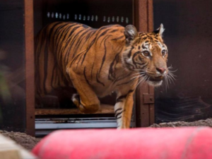 Infociudad, siempre con vos. 43