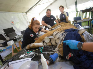 Infociudad, siempre con vos. 41