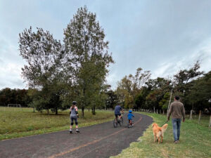 Infociudad, siempre con vos. 47