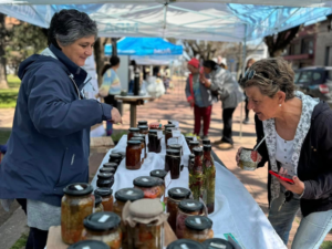 Infociudad, siempre con vos. 47