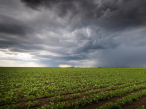 Infociudad, siempre con vos. 44