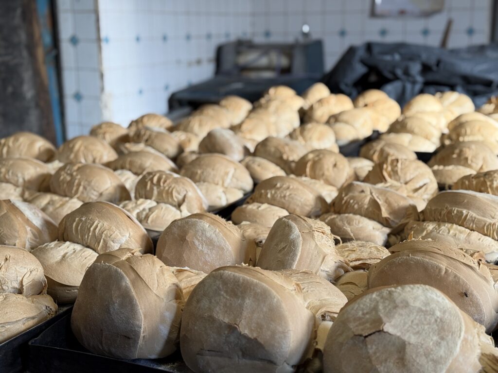 Azcuénaga tuvo su "pre-fiesta de la galleta de campo" 1