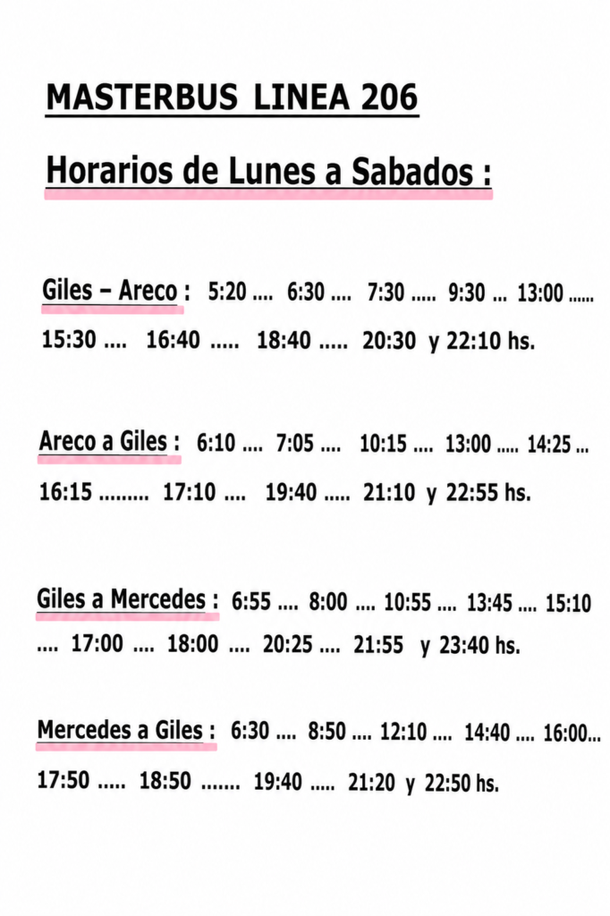 Masterbus línea 206: horarios oficiales actualizados
