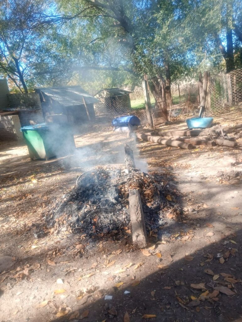 Voluntario del refugio canino le respondió a gesualdi: "los perros no tenían medicación" 1