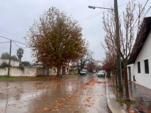 Infociudad, siempre con vos. 42